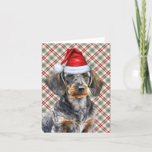 Cartes Pour Fêtes Annuelles Christmas Wirehair Dachshund et Holiday Plaid