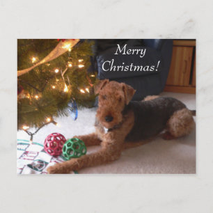 Cartes Pour Fêtes Annuelles Christmas with Madeleine