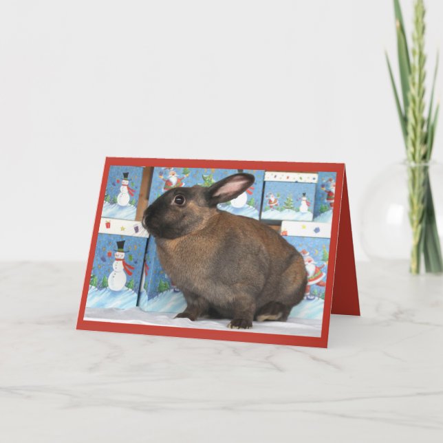 Cartes Pour Fêtes Annuelles Chritmas lapin lapin avec Boîtes de vacances Snowm (Devant)
