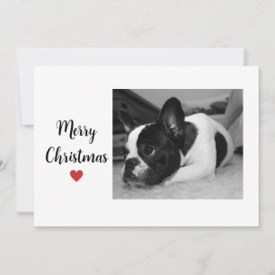 Cartes Pour Fêtes Annuelles Chritsmas Chien mignon Amour