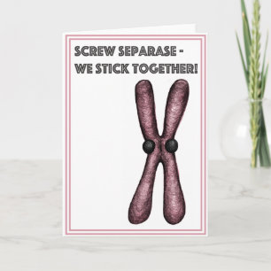Cartes Pour Fêtes Annuelles Chromosomes