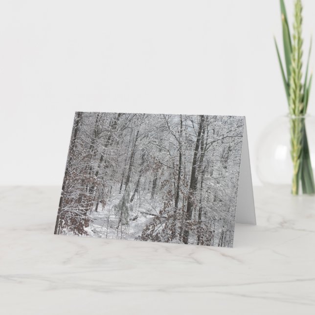 Cartes Pour Fêtes Annuelles Chutes de neige dans des mtns de Sc (Devant)