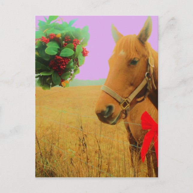 Cartes Pour Fêtes Annuelles Ciel rose rétro Cheval de Noël (Devant)