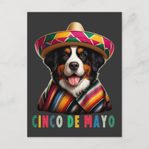 Cartes Pour Fêtes Annuelles Cinco De Mayo Chien Bernese avec Poncho Et Sombrer