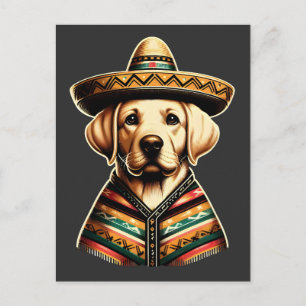 Cartes Pour Fêtes Annuelles Cinco De Mayo Labrador Retriever Poncho Sombrero