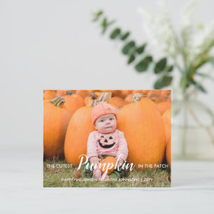 Cartes Pour Fêtes Annuelles Citrouille coupé d'Halloween dans le patch