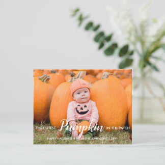 Cartes Pour Fêtes Annuelles Citrouille coupé d'Halloween dans le patch