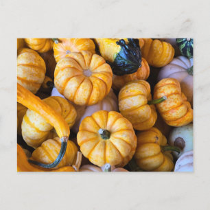 Cartes Pour Fêtes Annuelles Citrouille et gourmandes