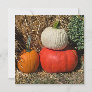 Cartes Pour Fêtes Annuelles Citrouilles d'automne
