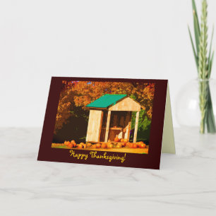Cartes Pour Fêtes Annuelles Citrouilles de Thanksgiving