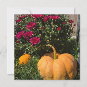 Cartes Pour Fêtes Annuelles Citrouilles et mamans