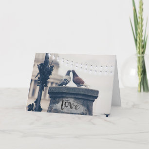 Cartes Pour Fêtes Annuelles City Pigeons en amour Saint Valentin