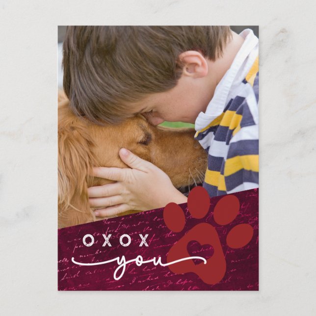 Cartes Pour Fêtes Annuelles Classe Valentine Enfant Animaux de compagnie Photo (Devant)