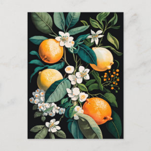 Cartes Pour Fêtes Annuelles Clementine Mandarine