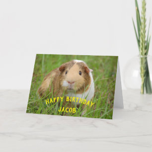 Cartes Pour Fêtes Annuelles Cochon d'Inde Mignon Cadeau d'Anniversaire Nom Per