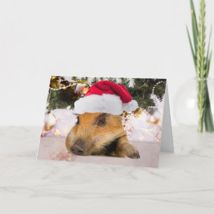 Cartes Pour Fêtes Annuelles Cochon Sucré dans le sapin de Noël du chapeau de N