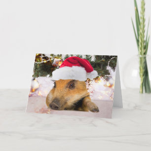 Cartes Pour Fêtes Annuelles Cochon Sucré dans le sapin de Noël du chapeau de N
