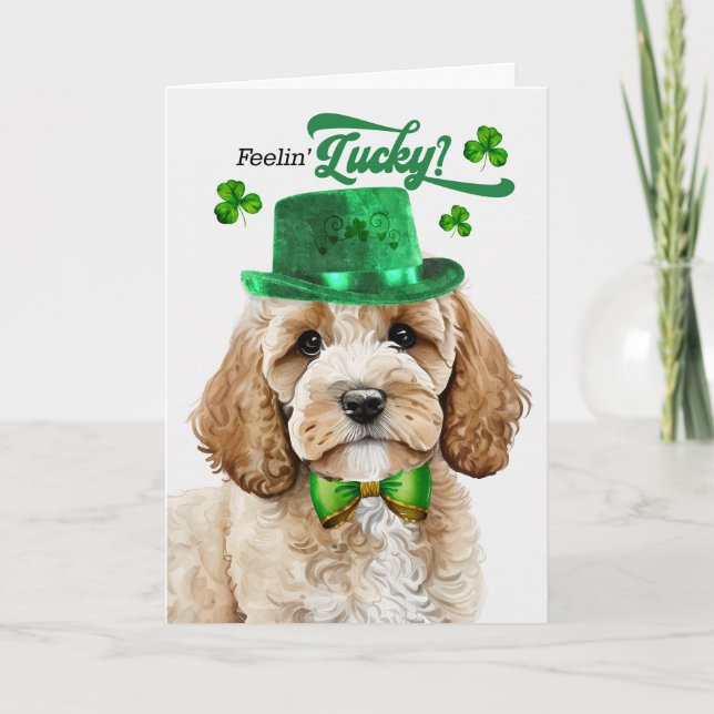 Cartes Pour Fêtes Annuelles Cockapoo Chien Chance St Patrick's Day (Devant)