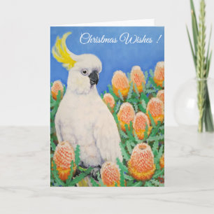 Cartes Pour Fêtes Annuelles Cockatoos - Voeux de Noël