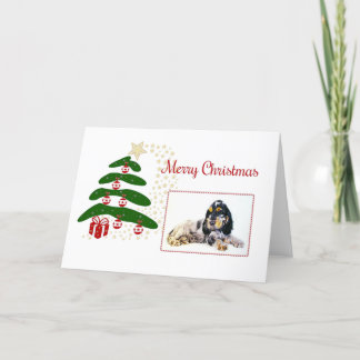Cartes Pour Fêtes Annuelles Cocker Spaniel Anglais