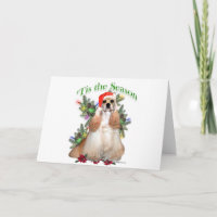 Cocker Spaniel «C'est»