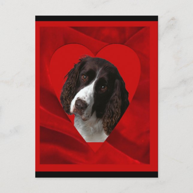 Cartes Pour Fêtes Annuelles Cocker Spaniel Saint-Valentin (Devant)