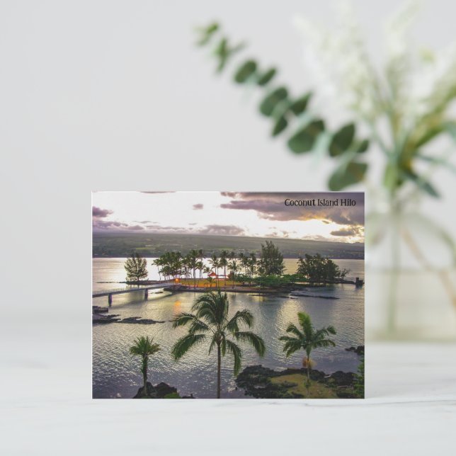 Cartes Pour Fêtes Annuelles Coconut Island Hilo Hawaii (Debout devant)