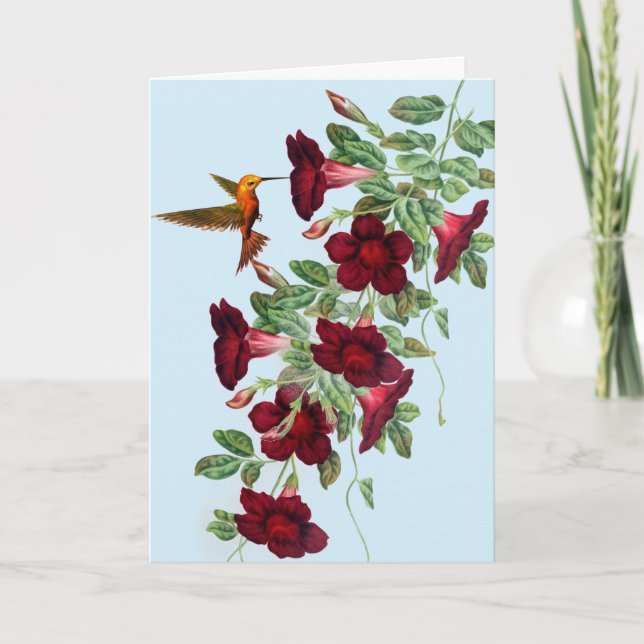 Cartes Pour Fêtes Annuelles Colibri à la Fête des mères de Red Mandevillea (Devant)