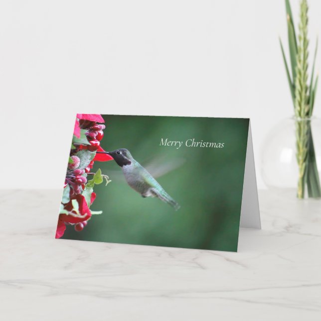 Cartes Pour Fêtes Annuelles Colibri à la mangeoire de Noël (Devant)