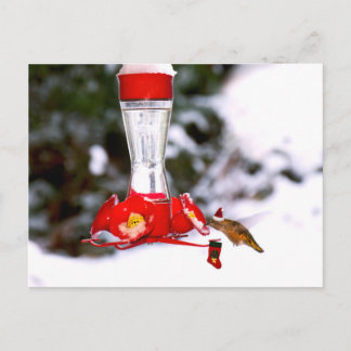 Cartes Pour Fêtes Annuelles Colibri de Noël et neige