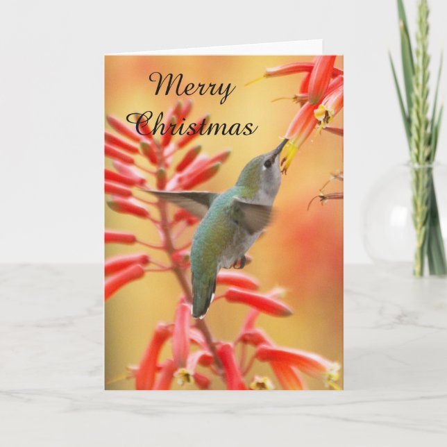 Cartes Pour Fêtes Annuelles Colibri entouré de yucca, Joyeux Noël (Devant)