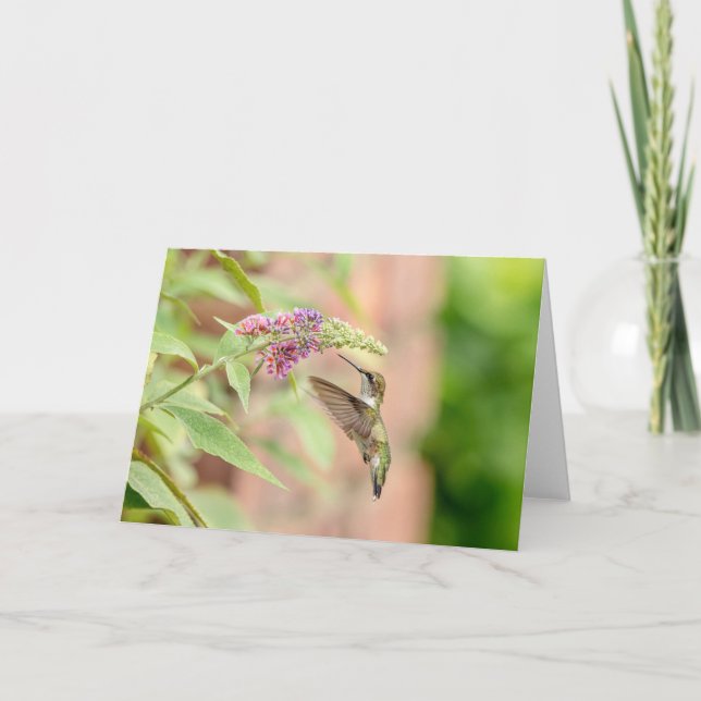 Cartes Pour Fêtes Annuelles Colibri sur un plante à fleurs (Devant)