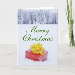 Cartes Pour Fêtes Annuelles Colis de Noël dans le paysage neigeux