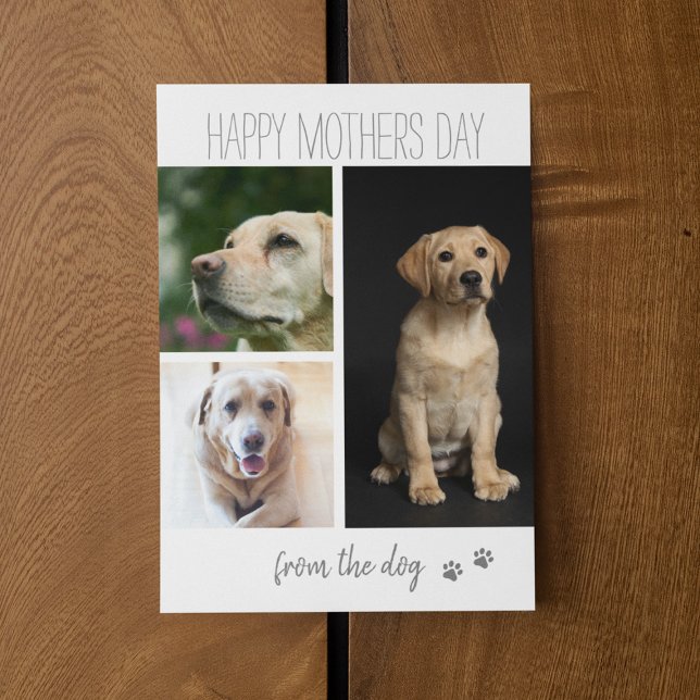 Cartes Pour Fêtes Annuelles Collage photo 3 Modernes | De La Part du Chien (Créateur téléchargé)