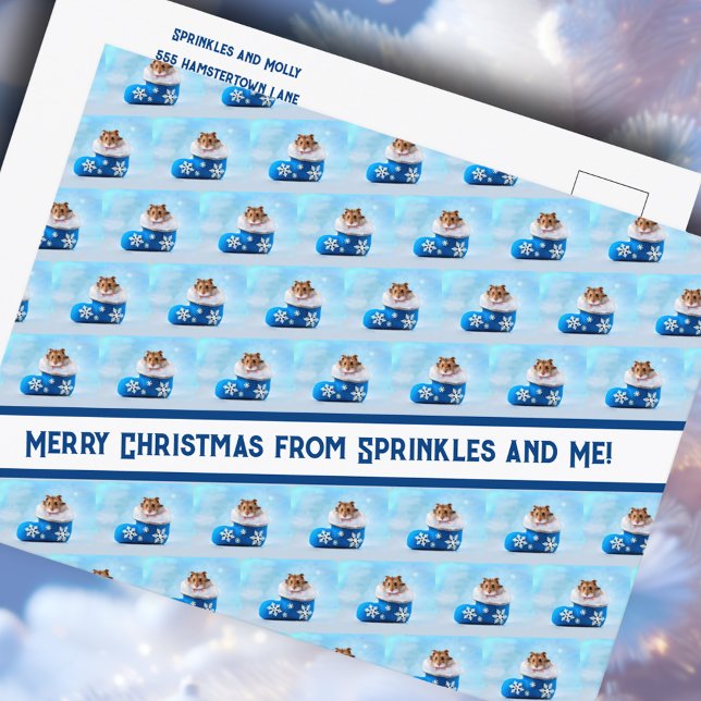 Cartes Pour Fêtes Annuelles Collage photo de Noël Hamster (Créateur téléchargé)