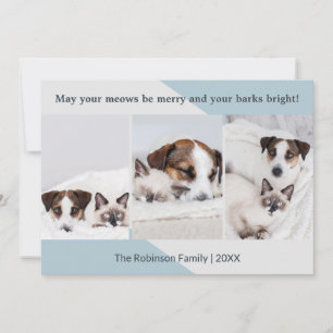 Cartes Pour Fêtes Annuelles Collage photo de Noël moderne minimaliste chien ch