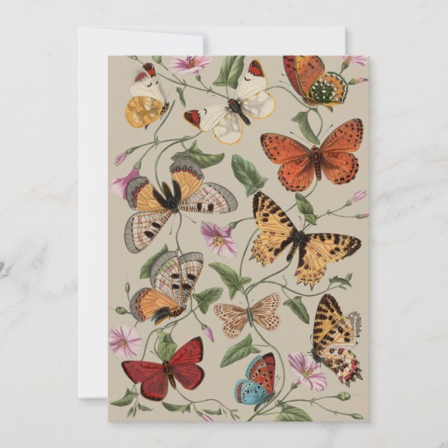 Cartes Pour Fêtes Annuelles Collection de la papillon Moth Nature Dessin (Devant)