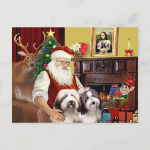 Cartes Pour Fêtes Annuelles Collie barbu de Père Noël