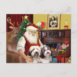 Cartes Pour Fêtes Annuelles Collie barbu de Père Noël
