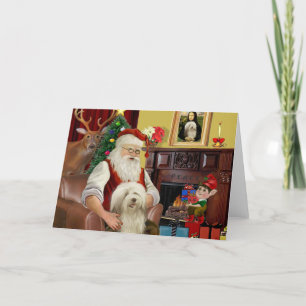 Cartes Pour Fêtes Annuelles Collie barrée de Père Noël (#16)