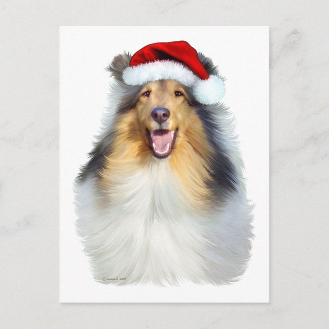 Cartes Pour Fêtes Annuelles Collie Christmas Père Noël (Devant)