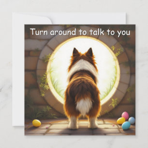 Cartes Pour Fêtes Annuelles Collie dog - Pâques