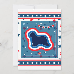 Cartes Pour Fêtes Annuelles Collie Patriotique Rouge Blanc Bleu 4 Juillet