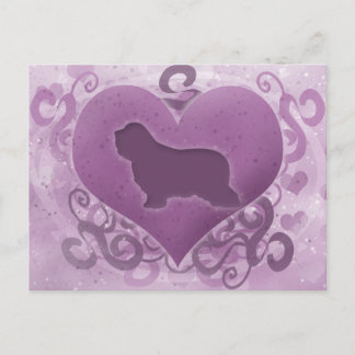 Cartes Pour Fêtes Annuelles Collie Valentine