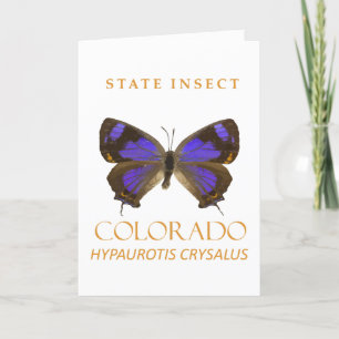 Cartes Pour Fêtes Annuelles Colorado Territoire Insecter Le Papillon Hairstrea