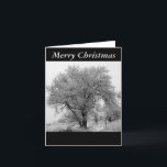 Cartes Pour Fêtes Annuelles Colorado Winter Christmas Card<br><div class="desc">A lovely black and white picture tâches in Golden,  Colorado makes an élégant Christmas Card.</div>
