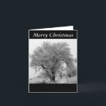 Cartes Pour Fêtes Annuelles Colorado Winter Christmas Card<br><div class="desc">A lovely black and white picture tâches in Golden,  Colorado makes an élégant Christmas Card.</div>
