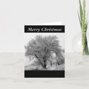 Cartes Pour Fêtes Annuelles Colorado Winter Christmas Card