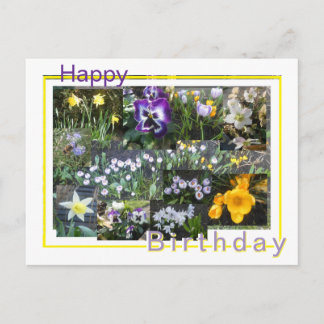 Cartes Pour Fêtes Annuelles Colorful Spring Flowers Collage Birthday Postcard