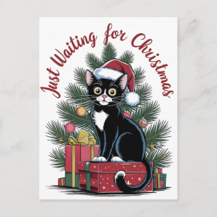 Cartes Pour Fêtes Annuelles Comfort Colors® Sapin de Noël et Chat 2025